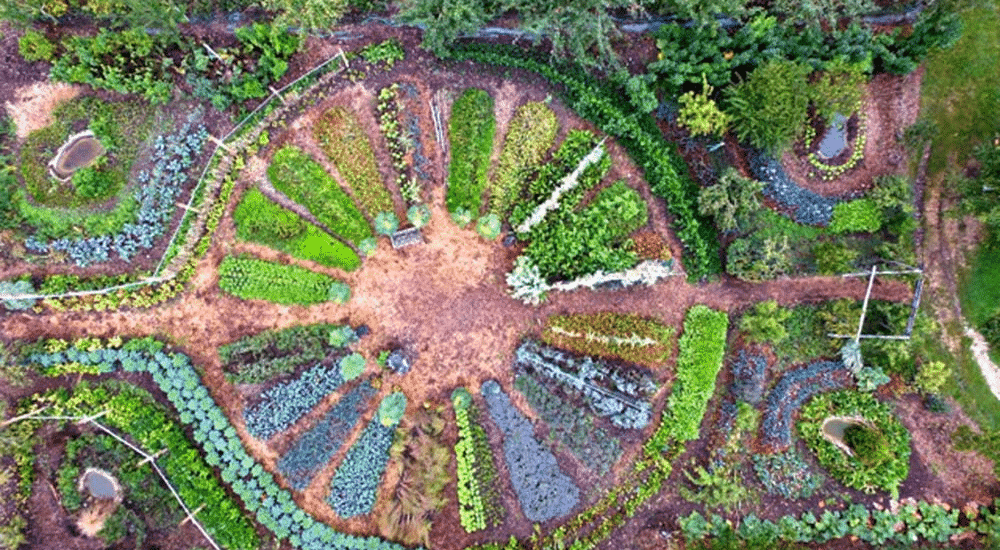 Permaculture